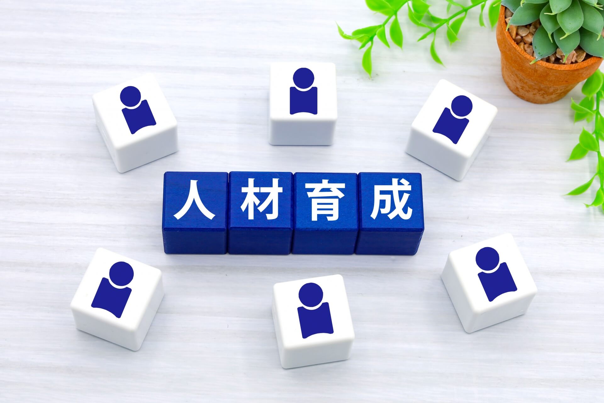 「人材育成」と書かれた青い積み木を囲むように、社員をイメージした白いブロックが配置されている、組織づくりや教育を象徴する画像。
