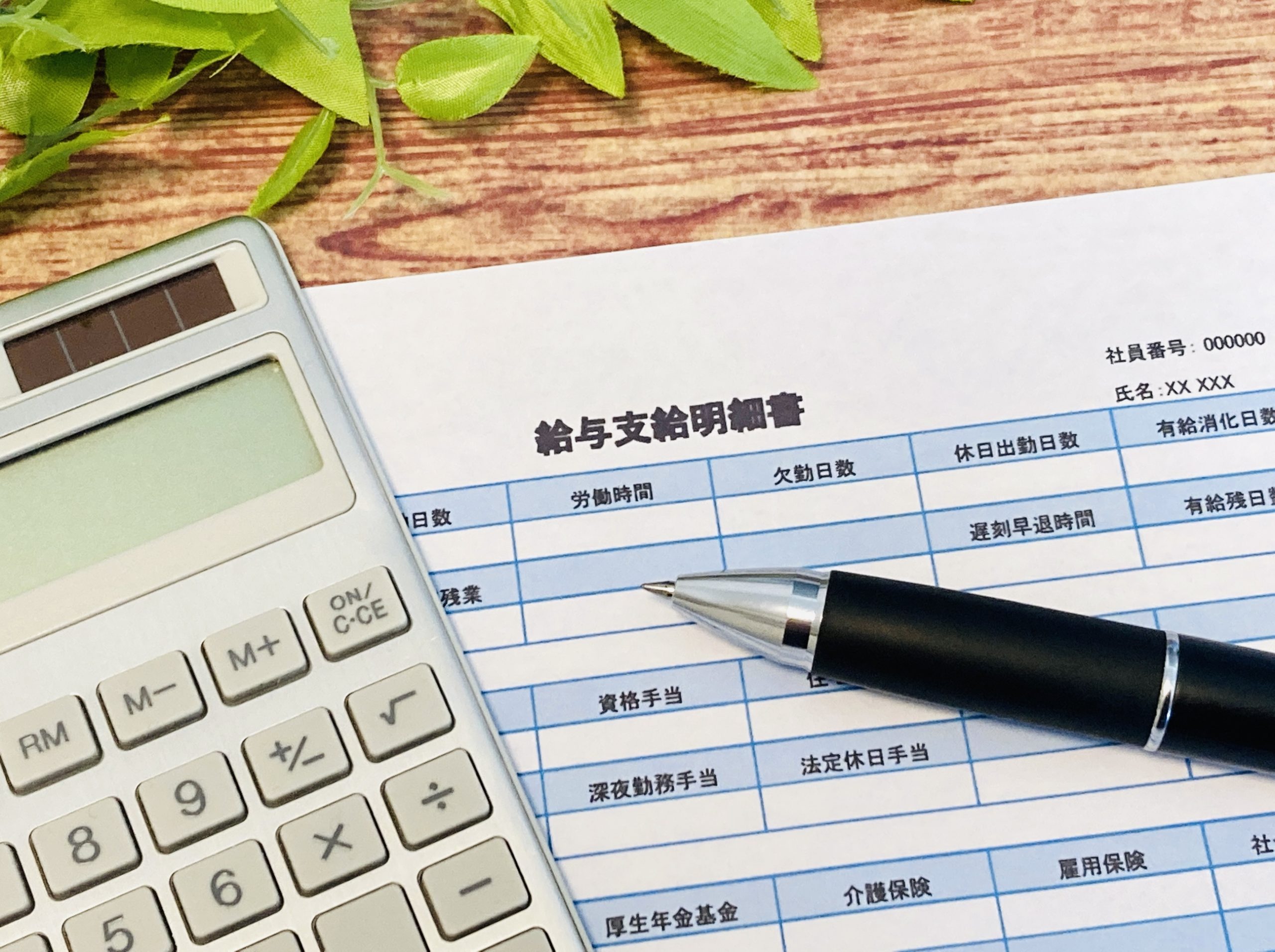 給与明細