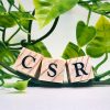 CSR（企業の社会的責任）とは？基本概念からメリット・デメリット、事例まで徹底解説