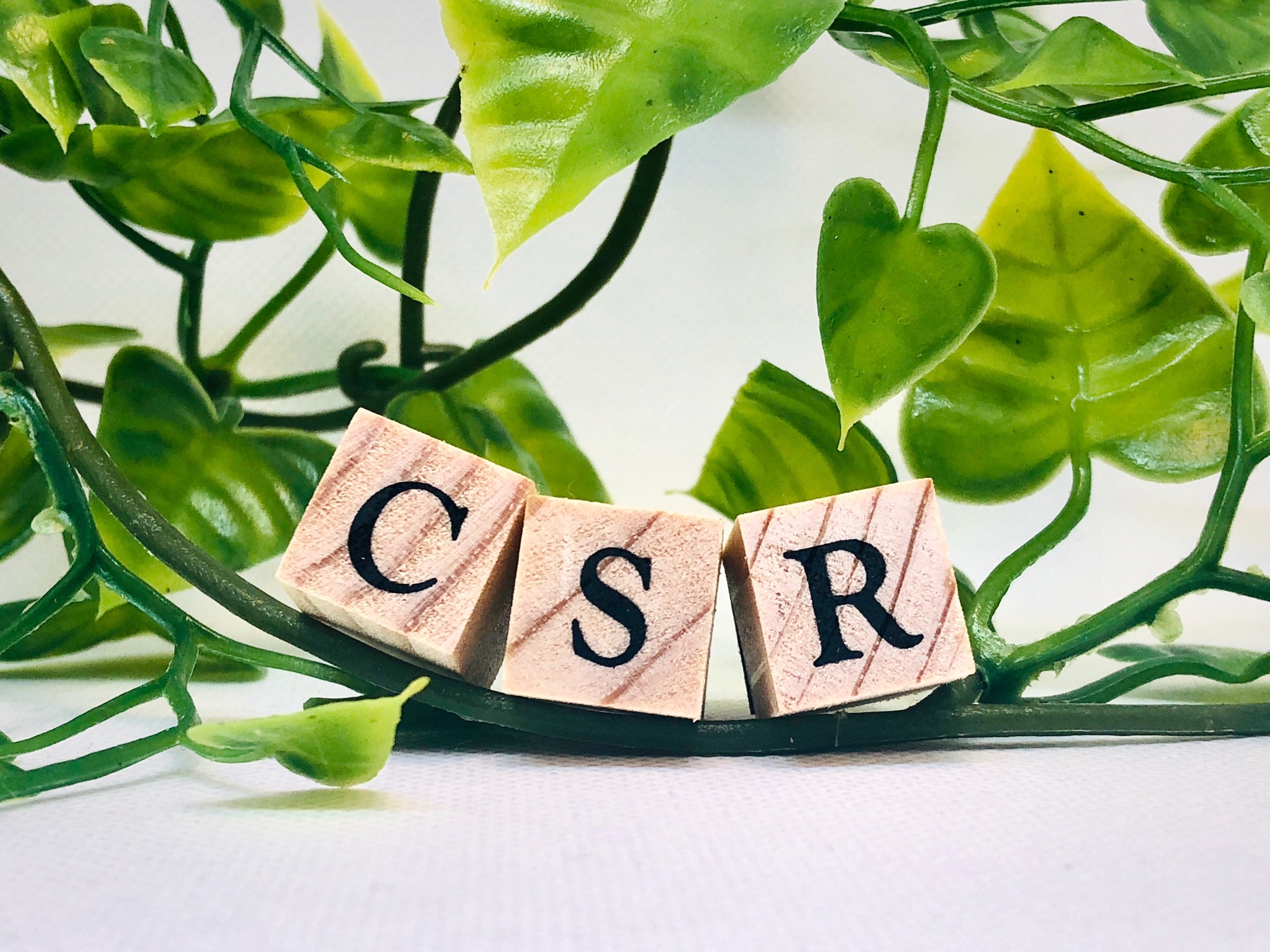 CSR（企業の社会的責任）とは？基本概念からメリット